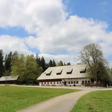 Staude Triberg im Schwarzwald