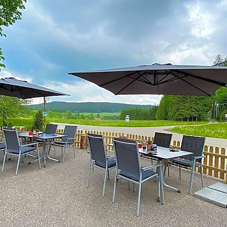Staude Triberg im Schwarzwald